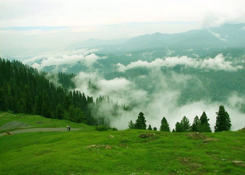 Natural beauty of Toli Peer Kashmir
